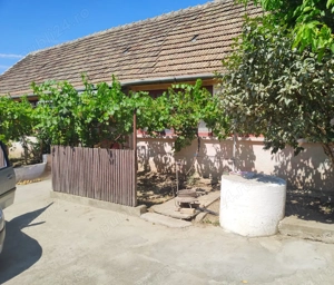 Casă + Curte + Teren arabil generos, Nerău, Teremia Mare, 1596 mp, locuibilă imediat - imagine 2