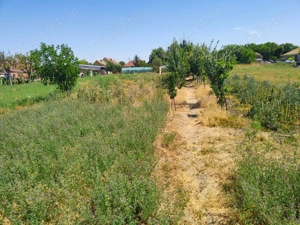 Casă + Curte + Teren arabil generos, Nerău, Teremia Mare, 1596 mp, locuibilă imediat - imagine 10