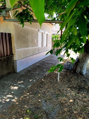 Casă + Curte + Teren arabil generos, Nerău, Teremia Mare, 1596 mp, locuibilă imediat - imagine 5