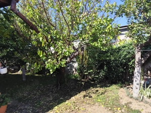 Casă mare  de vânzare  - imagine 4 Casă mare  de vânzare  - imagine 4