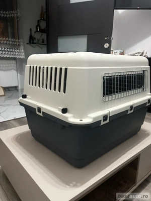 cusca catel talie mare - imagine 4 cusca catel talie mare - imagine 4