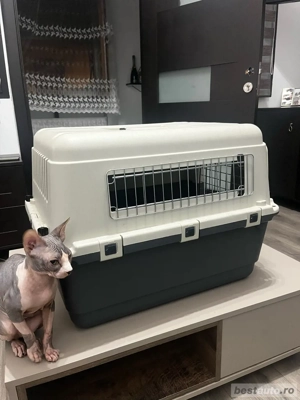 cusca catel talie mare - imagine 2 cusca catel talie mare - imagine 2