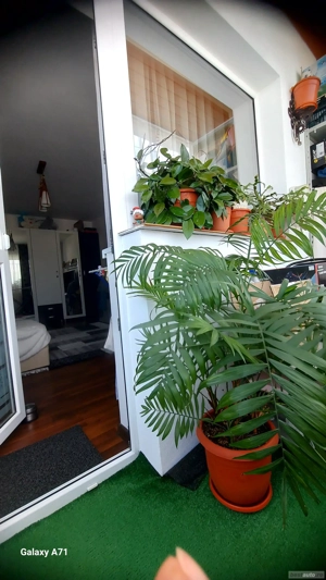 vând apartament  - imagine 10 vând apartament  - imagine 10