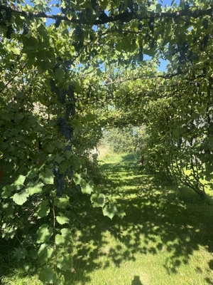 Casa De Vanzare LUNA - imagine 6