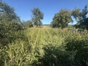 Casa De Vanzare LUNA - imagine 5