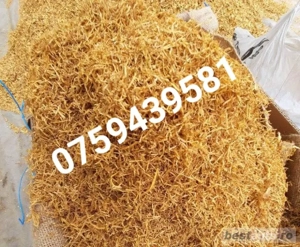 Firicel Olanda galben 0.1