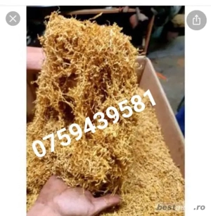 Firicel belgia 0.1 galben