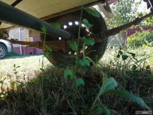 Remorca 750kg  - imagine 3