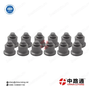 Diesel Injection Delivery Valve A58 & Diesel Injection Delivery Valve 4P9258