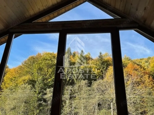 Cabana de inchiriat in Apuseni, Ciubar, Fara vecini, Foisor, Atv - imagine 8