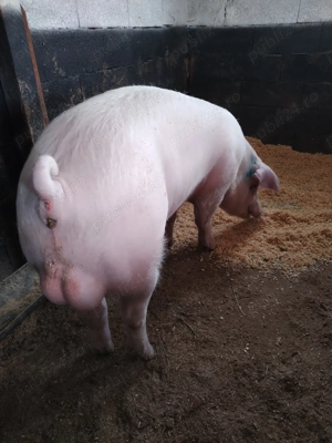 monte scroafe - imagine 5