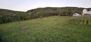 Vând teren Valcele Cluj