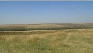 Teren Extravilan cota parte 1/4, Varlezi, ID: R2730256