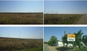 Teren extravilan Varlezi, cota parte 1/4, ID: R2730271 - imagine 8