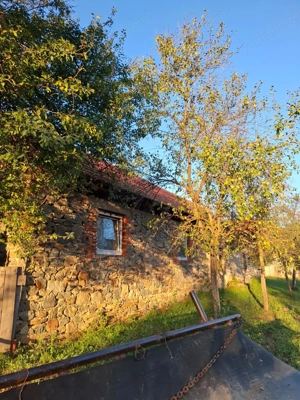 Casa de vânzare,Comuna Goruia,loc.Goruia,Caraș Severin - imagine 5