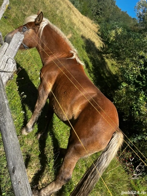 Vand iapa  - imagine 3 Vand iapa  - imagine 3