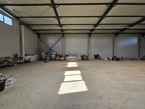 Pantelimon DN3 hala 600 mp - imagine 11