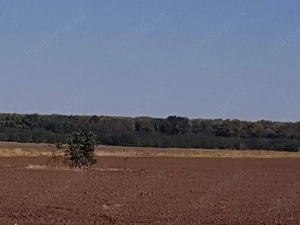 Branesti teren intravilan 30700 mp - imagine 5