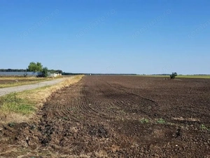 Branesti teren intravilan 30700 mp - imagine 7