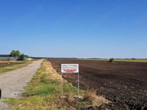 Branesti teren intravilan 30700 mp
