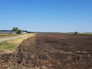 Branesti teren intravilan 30700 mp - imagine 6