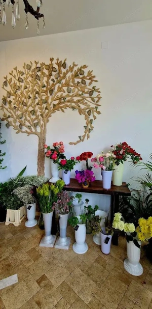 Spatiu comercial Victoriei 500 mp la  etaj - imagine 4 Spatiu comercial Victoriei 500 mp la  etaj - imagine 4