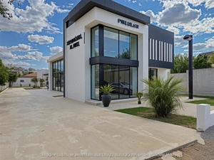 Hala Premium   Stradala de inchiriat in Bragadiru - imagine 4