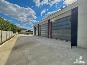 Hala Premium   Stradala de inchiriat in Bragadiru - imagine 8