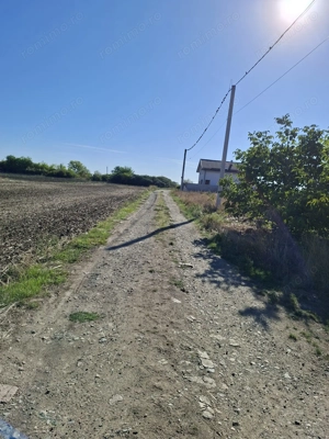 vanzare teren covaci - imagine 6