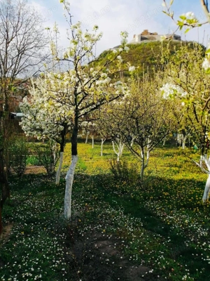 Vand casa D+P zona centrala Deva - imagine 3