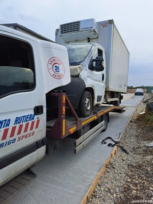 Cutie pegeut boxer 2007