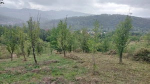 Teren de vanzare  - imagine 3