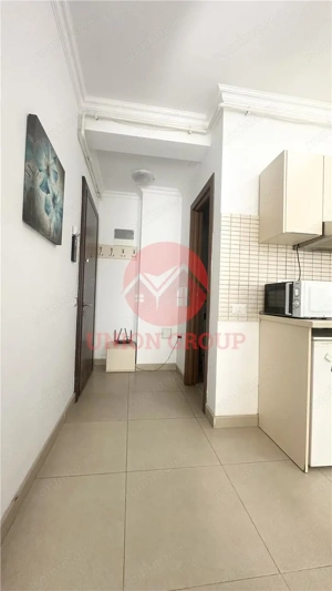 Studio Mobilat si Utilat Complet, Solid Residence Mamaia Central - imagine 10