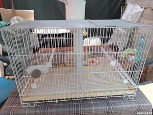 Vând colivie 503. - imagine 2