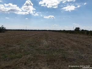 Deschidere 17,54m la DN1B(Mihai Viteazul),12 km de Ploiesti com.Valea Calugareasca - imagine 2