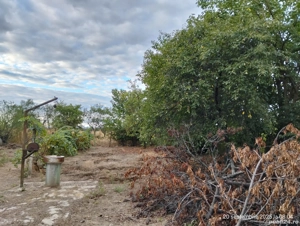 Deschidere 17,54m la DN1B(Mihai Viteazul),12 km de Ploiesti com.Valea Calugareasca - imagine 3