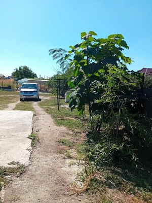 vând casuta super ofertă citește bine anunțul  - imagine 2