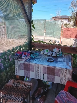 vând casuta super ofertă citește bine anunțul  - imagine 9