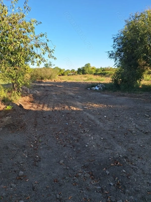 Casa de vanzare Silistraru - imagine 3