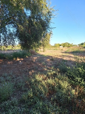 Casa de vanzare Silistraru - imagine 6