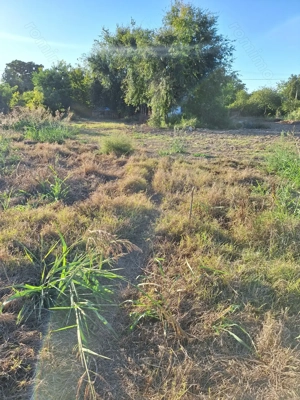 Casa de vanzare Silistraru - imagine 2