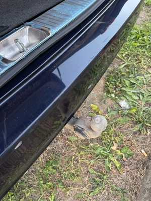 Mercedes-Benz E-Class E250 CDI 204 CP   7 locuri   Elegance   Automat - imagine 8