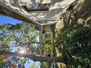 Cenad-Casa Spatii Birouri- 150mp-teren 1065mp - imagine 8