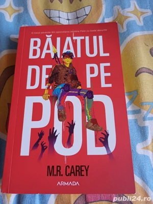 Baiatul de pe Pod Carte