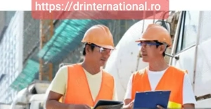 Forță de munca = echipa dorita