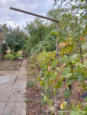 Deschidere 17,54m la DN1B(Mihai Viteazul),12 km de Ploiesti com.Valea Calugareasca - imagine 4