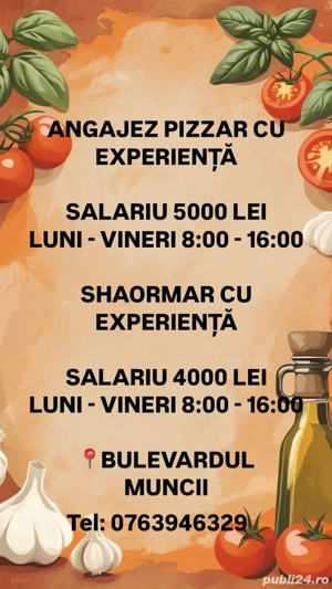 Angajam pizzar si shaormar cu experienta