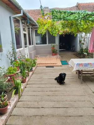 De vanzare casa cu teren de 1500mp in Deta - imagine 9