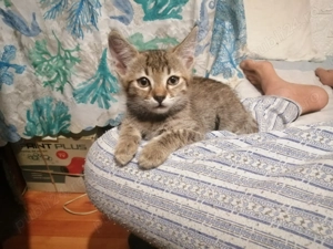 Aventura incepe cu un camin...!