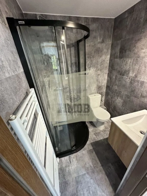 Casa de vacanta vs Afacere la cheie Valea Avrigului - imagine 6